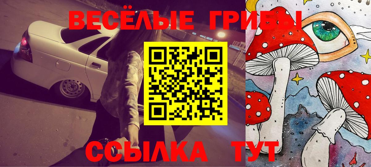 Галлюциногенные грибы Psilocybine cubensis  Галлюциногенные грибы GOLDEN TEACHER  Кстово  Вход с VPN 